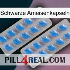 Black Ant Capsules 23